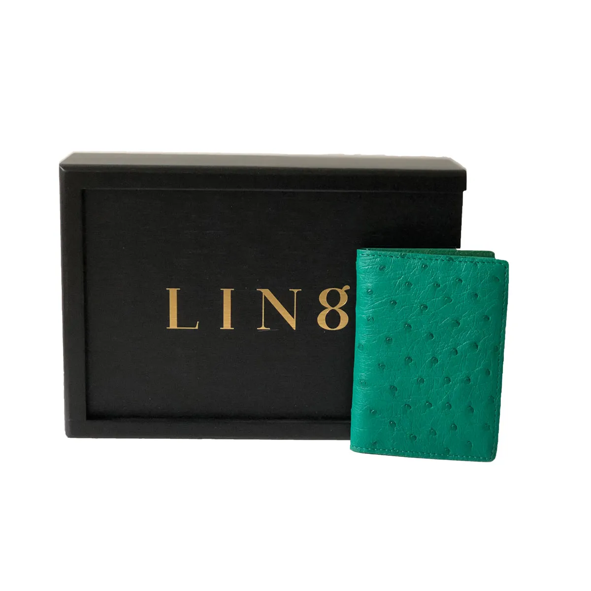 Pocket-Fold card holder