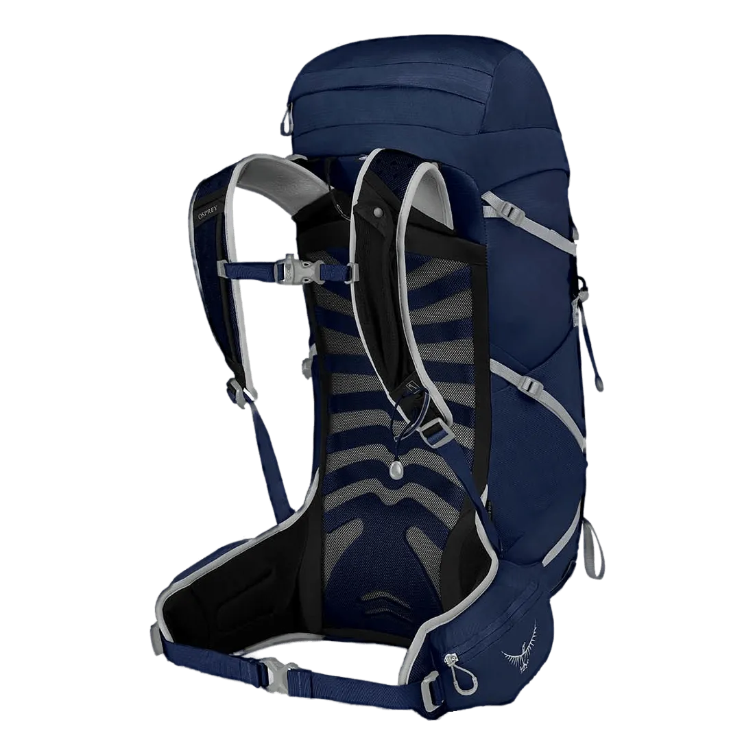 Talon 33 Blue